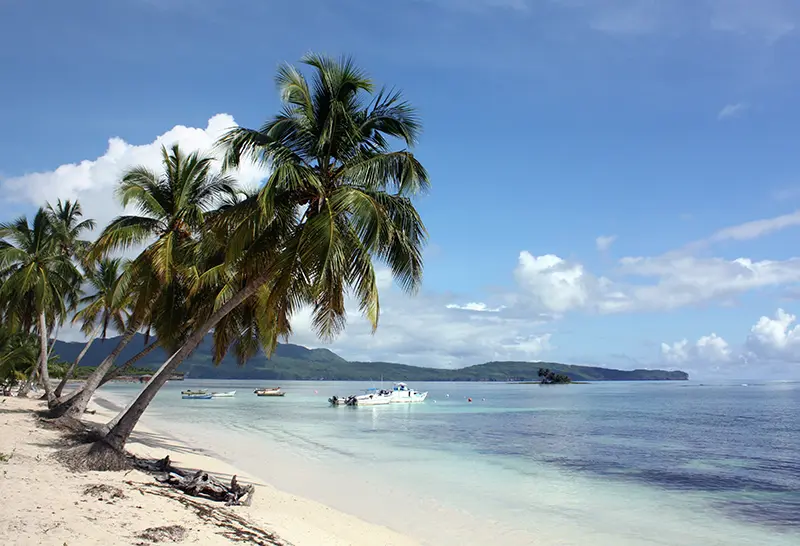 Samana 6 - Thumb